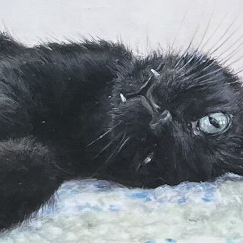 Čimi Cat painter 黒猫ポストカード | necoya books web store