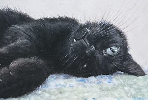 Čimi Cat painter 黒猫ポストカード | necoya books web store