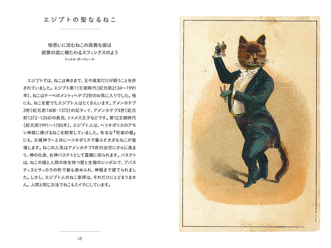 LE PETIT LIVRE DES CHATS ちいさな手のひら事典 ねこ LE PETIT LIVRE DES CHATS ちいさな手のひら事典 ねこ