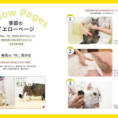春夏秋冬ねこほぐし　猫を整える季節ごとのマッサージ