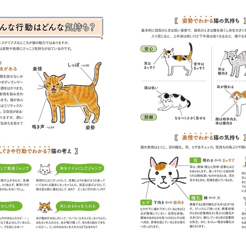 気持ちを知ればもっと好きになる! 猫の教科書 | necoya books web store