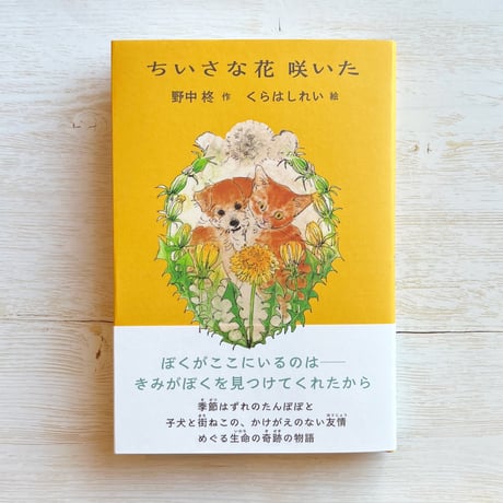 ちいさな花 咲いた