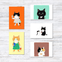 モリ イラストレーター 猫ポストカード