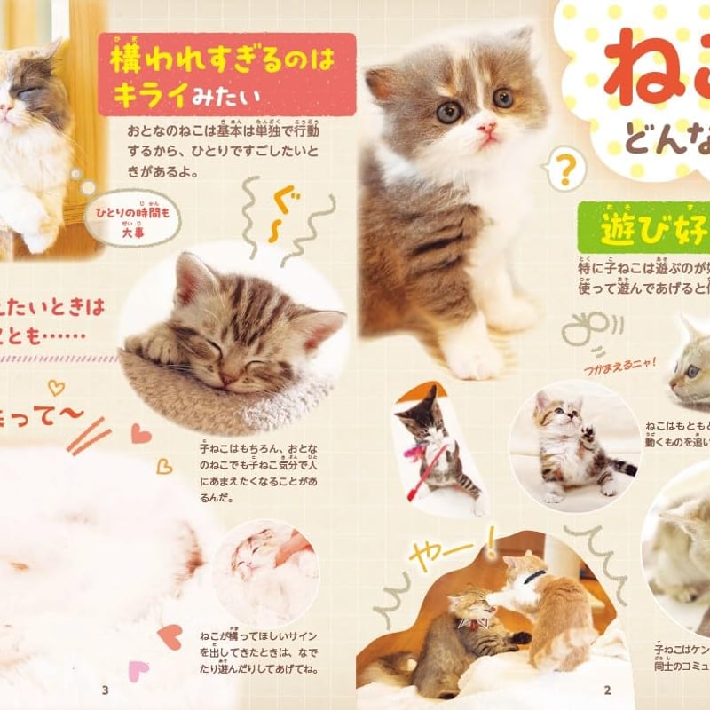 4コマまんがでゆるっとわかる! ねこ語辞典 | necoya books web store