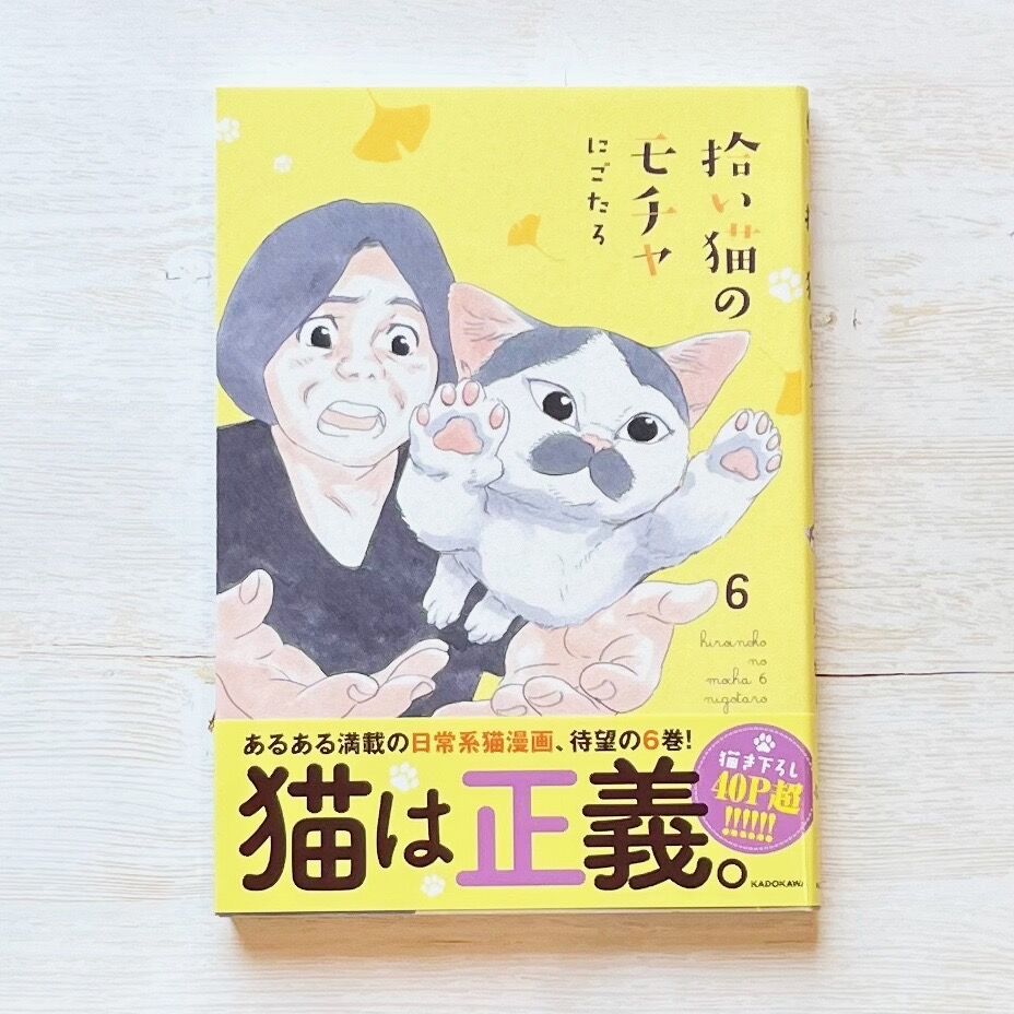 拾い猫のモチャ 1〜8巻 | necoya books web store 拾い猫のモチャ 1〜8巻 | necoya books web store