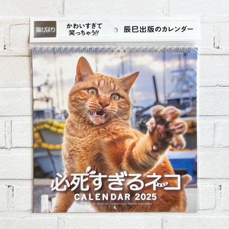 本日24時に売れなければ300円❗間もなく利益なし赤字絵画❗「僕はねこ」 本日24時に売れなければ300円❗間もなく利益なし赤字絵画❗「僕