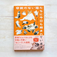 容赦のない猫たちに今日も絡まれています