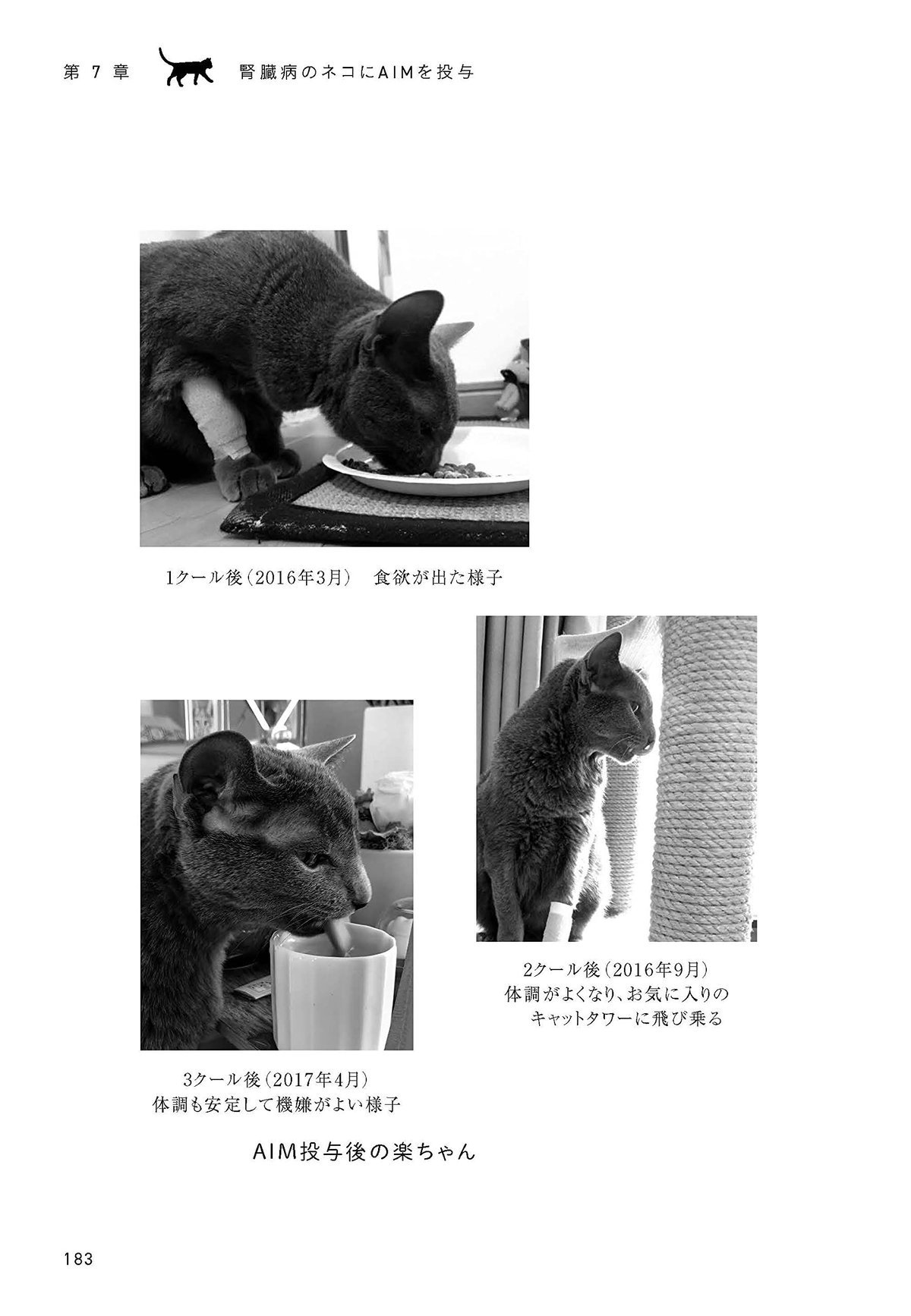 猫が30歳まで生きる日 | necoya books web store