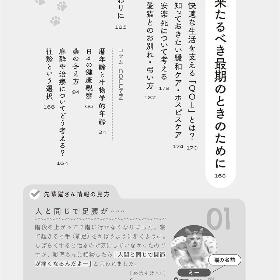 67187e64427a8805063a4d66