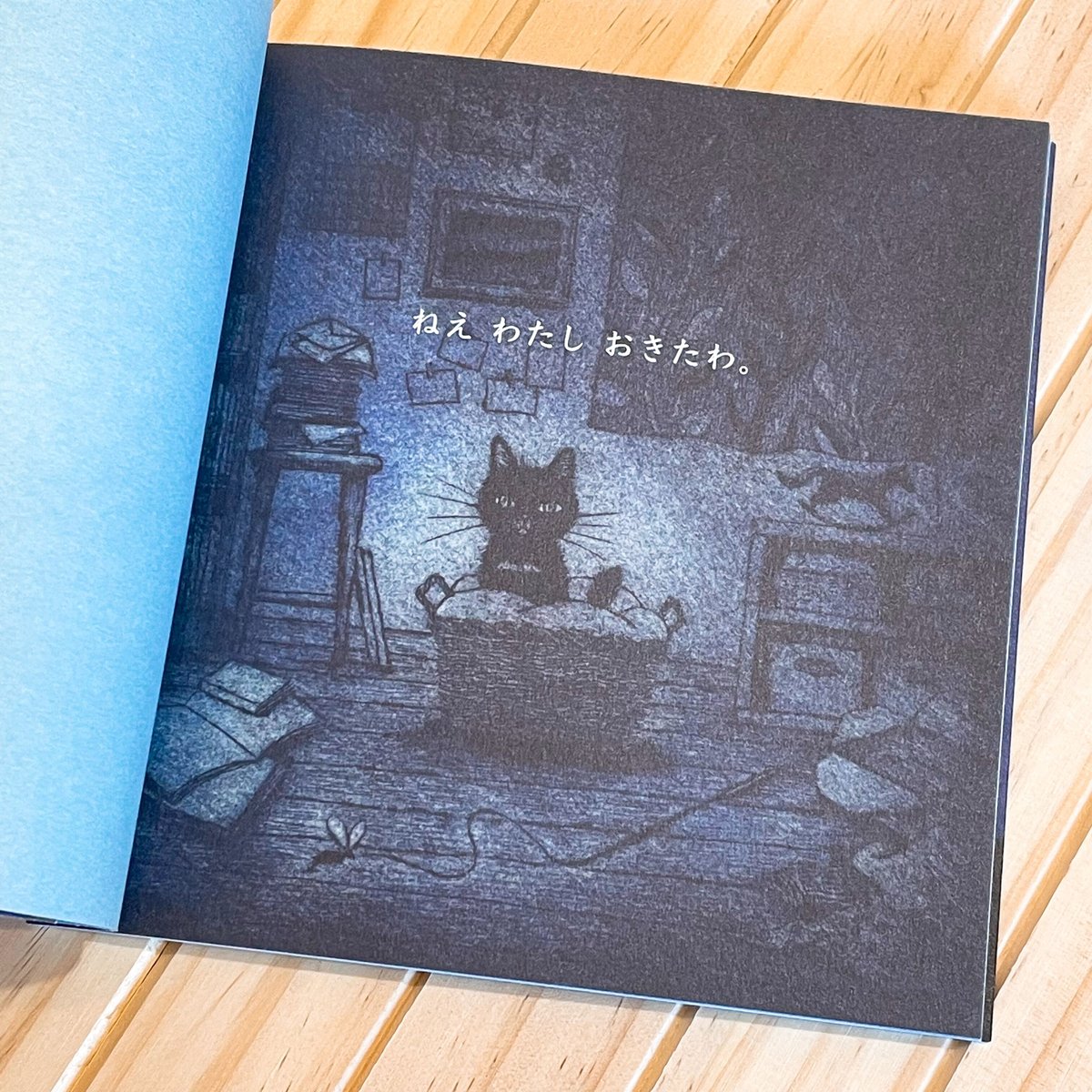 坂本千明『ねこのねえ』 ☆直筆サイン入り | necoya books web store