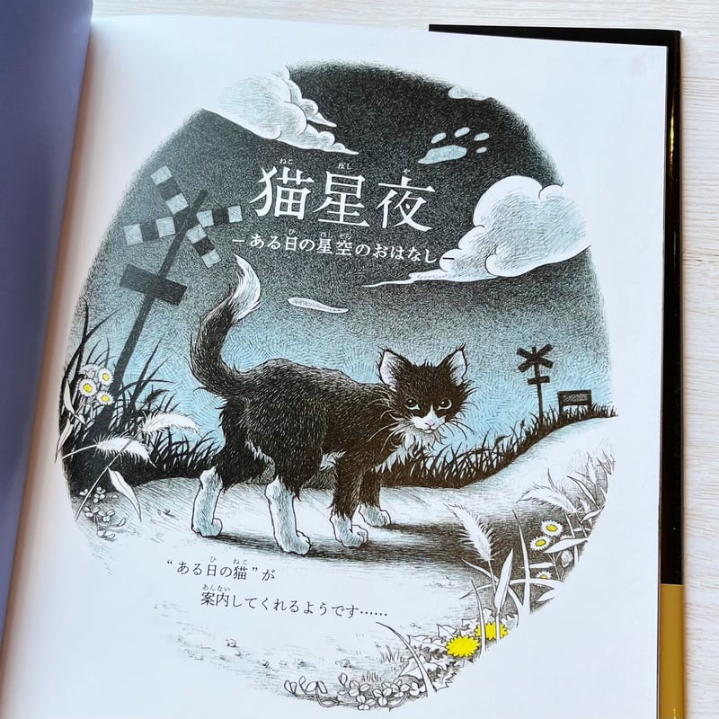 猫星夜 ☆直筆サイン入り | necoya books web store