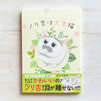 ノリ吉は大吉猫