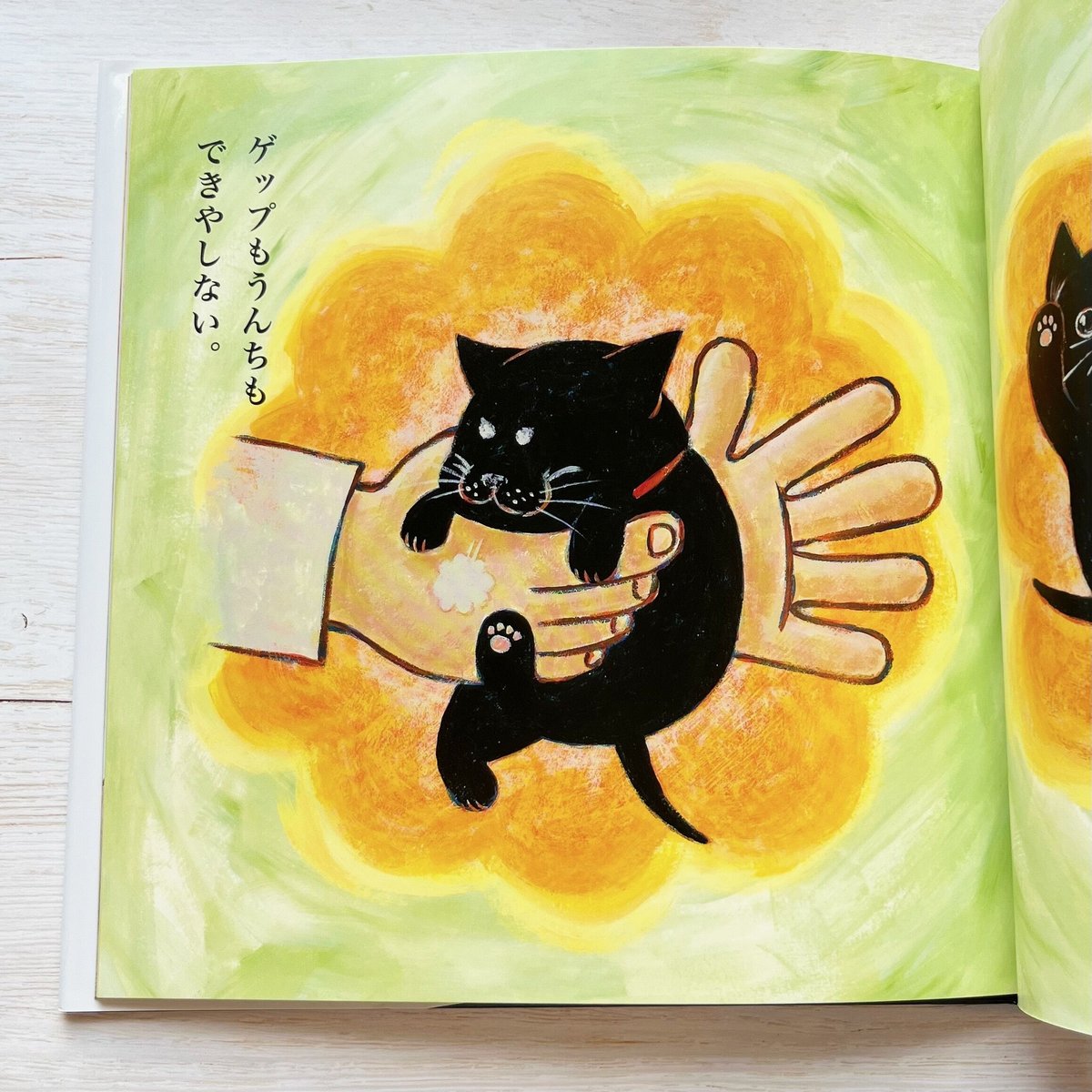私はネコが嫌いだ。 | necoya books web store