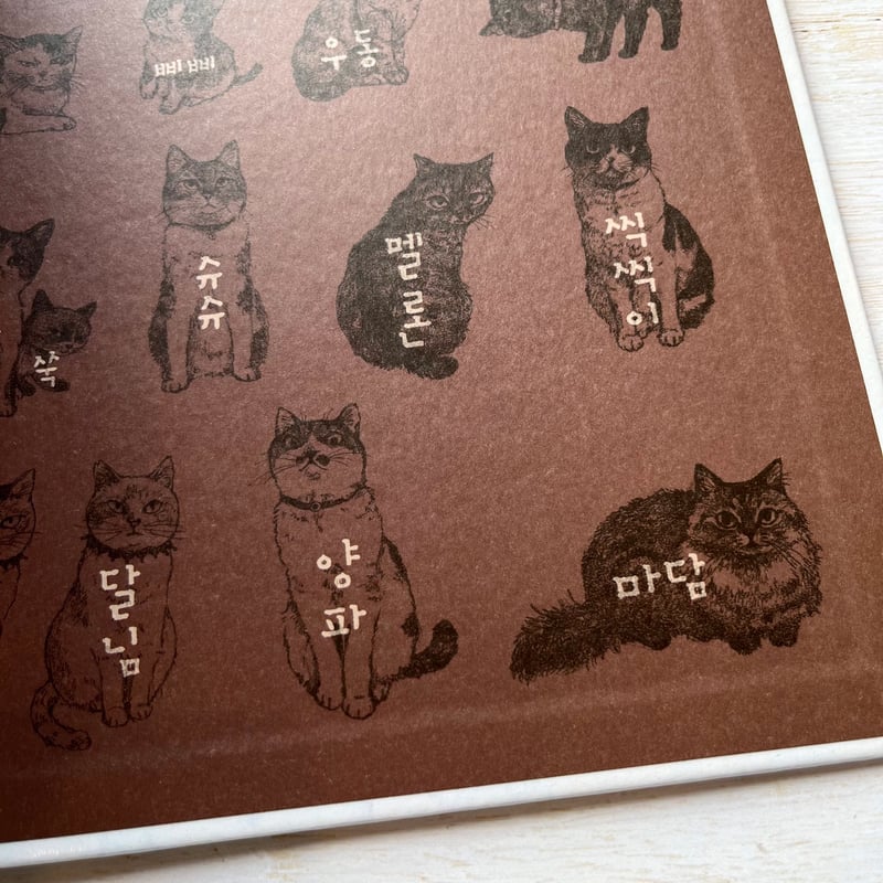 이름 없는 고양이/なまえのないねこ | necoya books web store