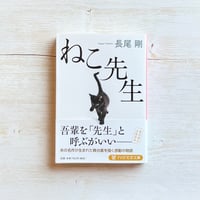 ねこ先生