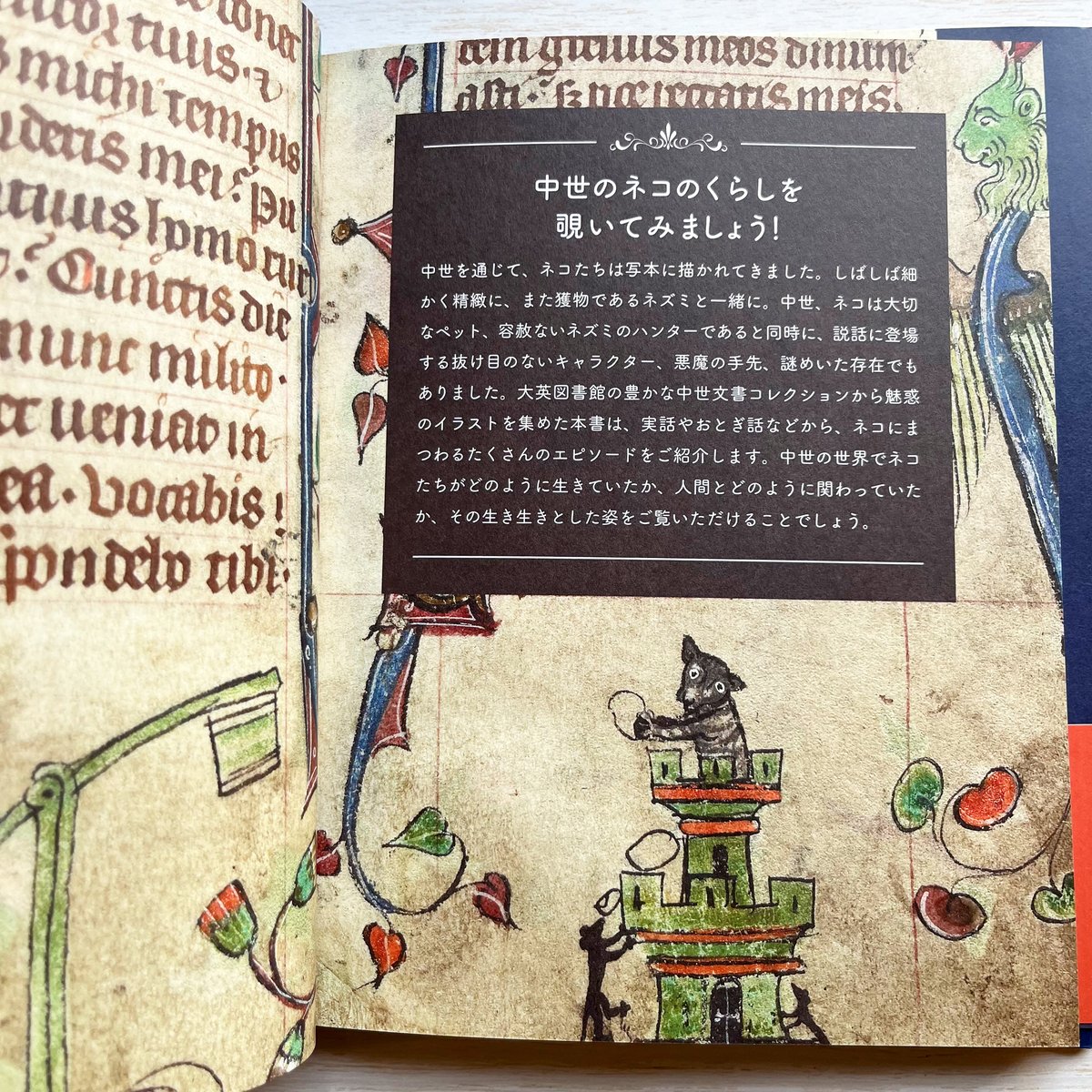 【原画】『猫の町の住民』ファンタジー　ゴシック　中世　絵画　アンティーク 原画】『猫の町の住民』ファンタジー ゴシック 中世 絵画 アンティーク