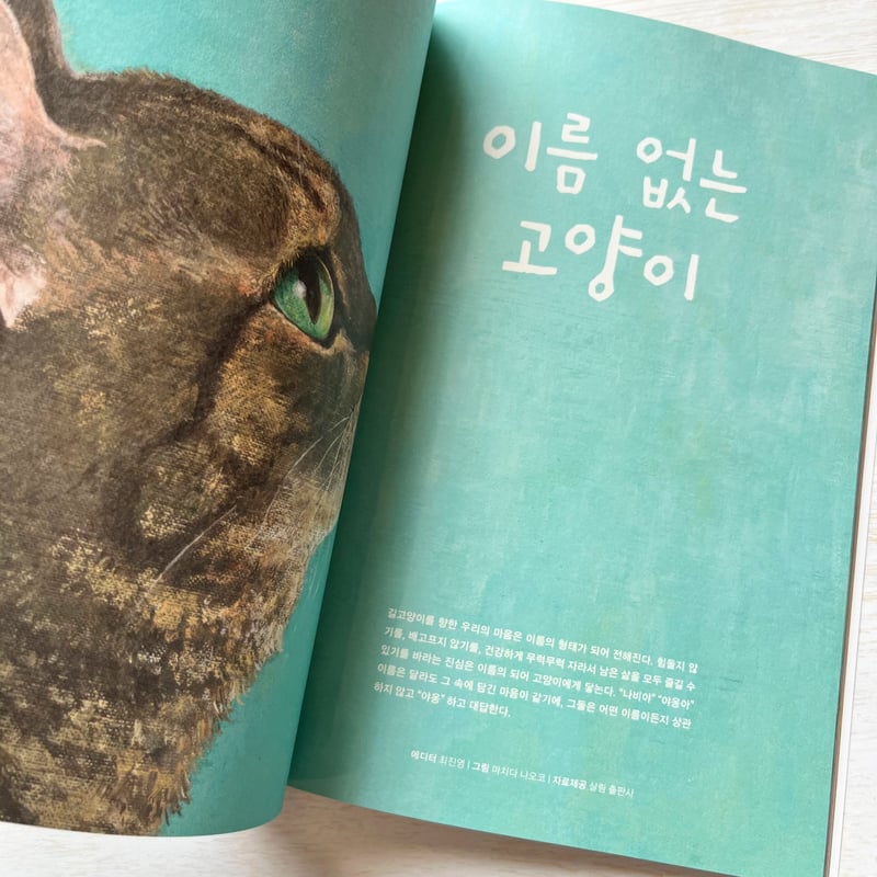 이름 없는 고양이/なまえのないねこ | necoya books web store