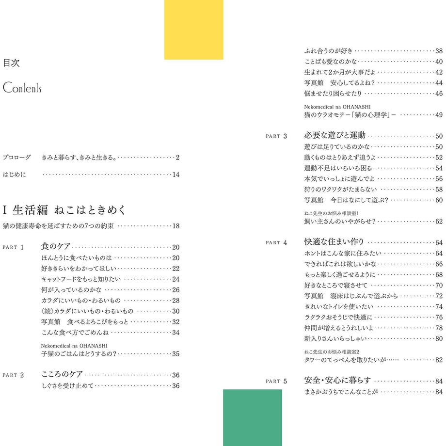 6406be4293f6194d9817f52e