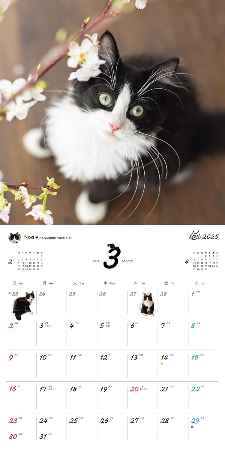 にゃんにゃんにゃんこ カレンダーセット うちのニャンコ。壁掛カレンダー2025 | necoya books web store