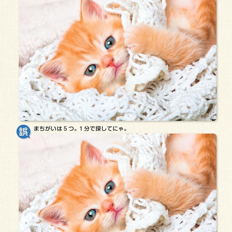 ねこのまちがいさがし11 | necoya books web store