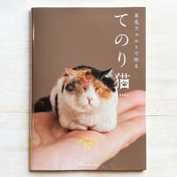 羊毛フェルトで作る　てのり猫