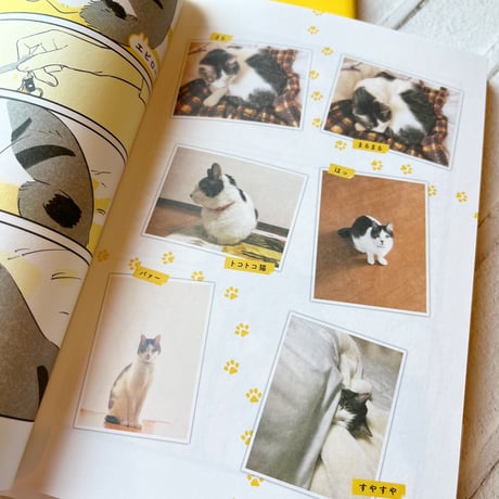 じじ猫くらし 1、2