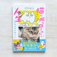 猫に振り回されたい人生　#ヤマネコレポート