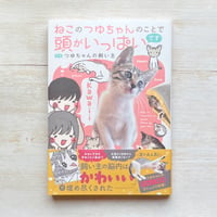 ねこのつゆちゃんのことで頭がいっぱいです