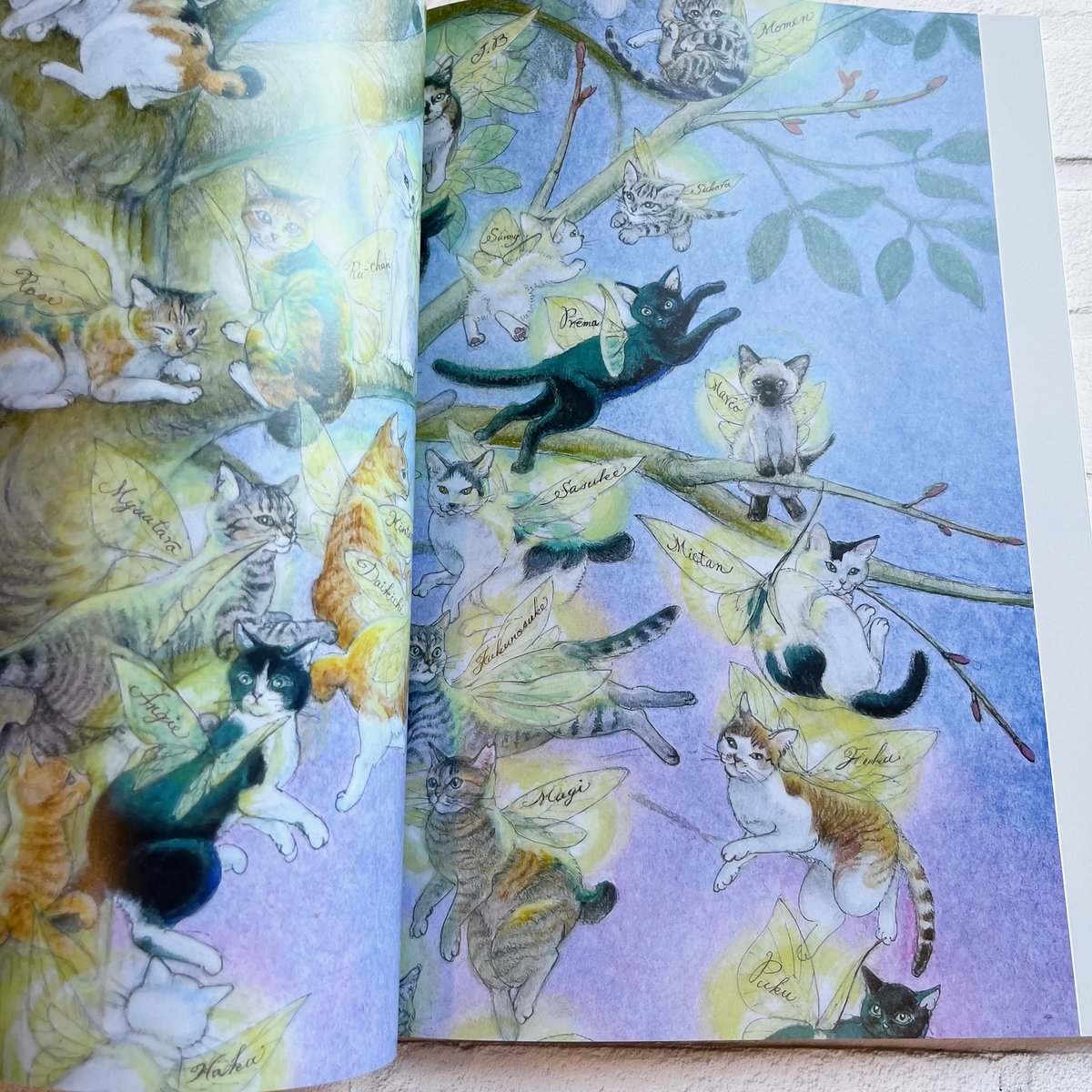 生命樹と妖精猫たち | necoya books web store 生命樹と妖精猫たち | necoya books web store