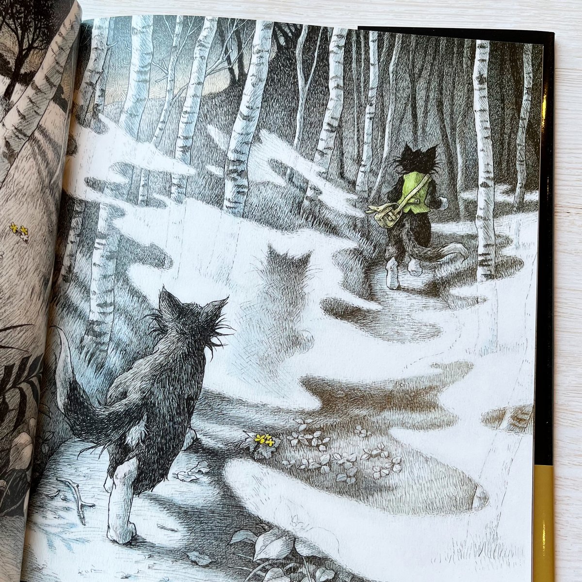 猫星夜 | necoya books web store