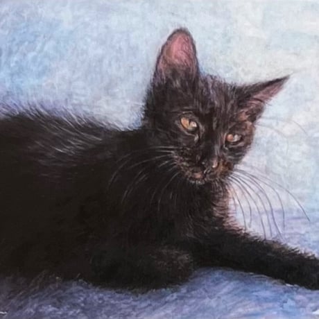 Čimi Cat painter 猫ポストカード