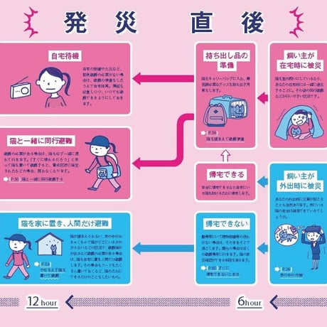決定版 猫と一緒に生き残る 防災BOOK