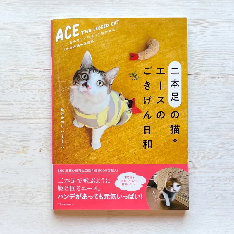 二本足の猫・エースのごきげん日和 | necoya books web store