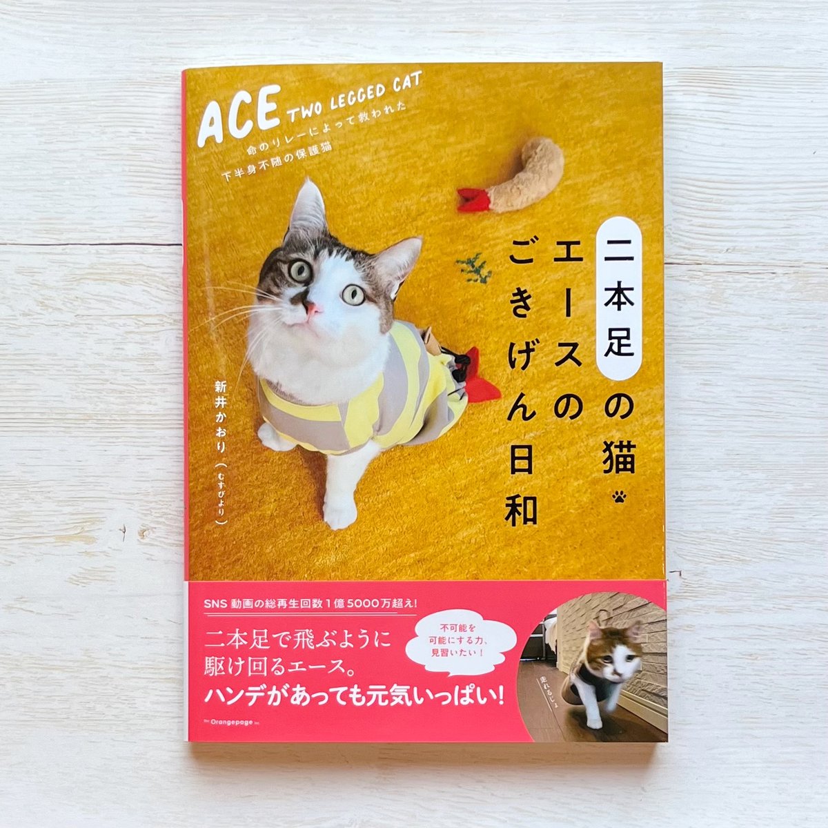 二本足の猫・エースのごきげん日和 | necoya books web store