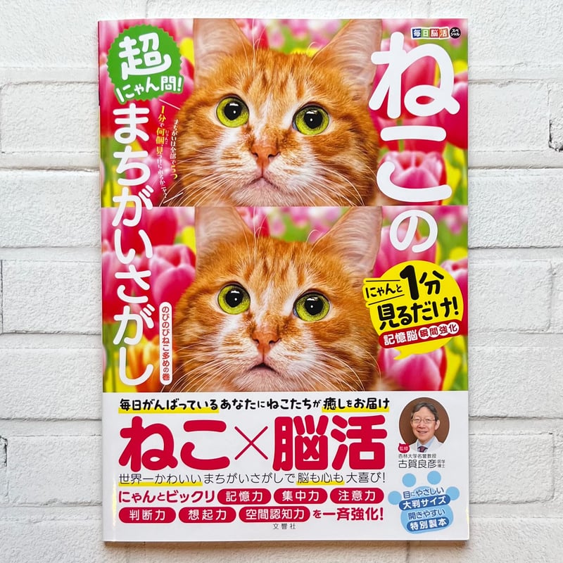 毎日脳活スペシャル 超にゃん問！ ねこのまちがいさがし のびのびねこ