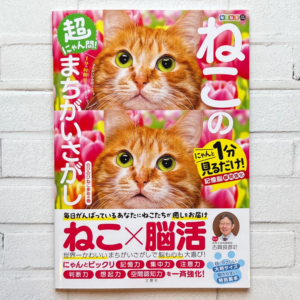 毎日脳活スペシャル 超にゃん問！ ねこのまちがいさがし のびのびねこ