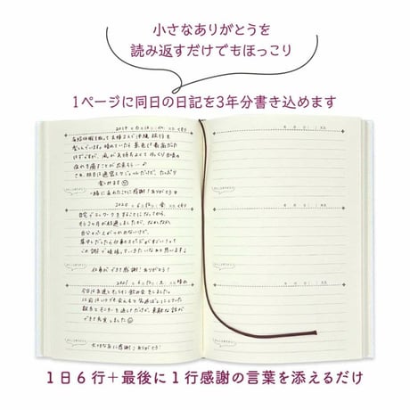 3年連用日記 ねこ