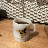 インド／ファインロブスタ ・ウォッシュド・パパクチ農園