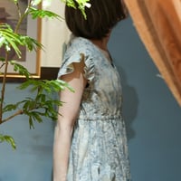 Frill/French sleeve dress　819589-I