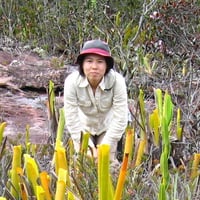 【8月2日(土)】第187回咲くや塾　食虫植物が暮らす秘境ギアナ高地