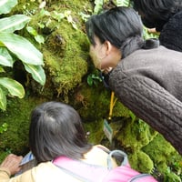 【1月17(土)】コケの観察・解説ツアー