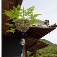 【7月11日(土)・7月12日（日）】つりしのぶ作り方講習会
