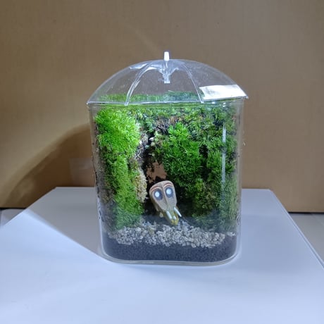 【1月17(土)・18(日)】MOSS garden ～MOSS～