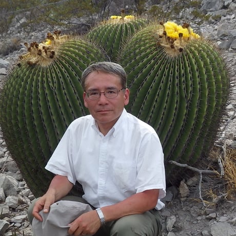 さぼてんページ サボテンページ さぼてんページ 7月企画展｜陶植