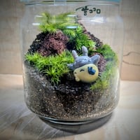 【1月17(土)・18(日)】苔ココロ ～山の景色の苔テラリウム～