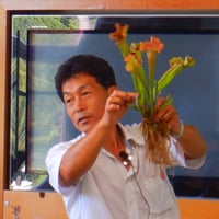 【8月9日(土)】第188回咲くや塾　食虫植物の寄せ植え教室