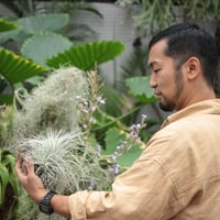 【8月26日(土)】第179回咲くや塾 　ティランジアの花を咲かせてみませんか？