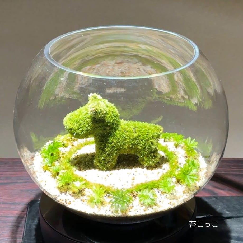 692ceff97beeeb7a7a9c9060
