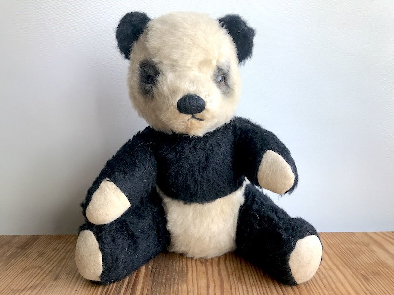 パンダ CHADVALLEY パンダ | osoblanco online shop