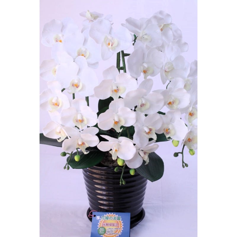 オレンジ 胡蝶蘭 アートフラワー 陶器鉢 専用胡蝶蘭陶器鉢50個 素敵